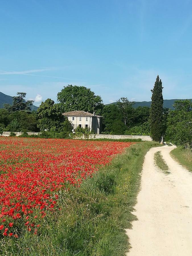 Le Clos De La Chardonniere Saulce-sur-Rhône Exterior foto